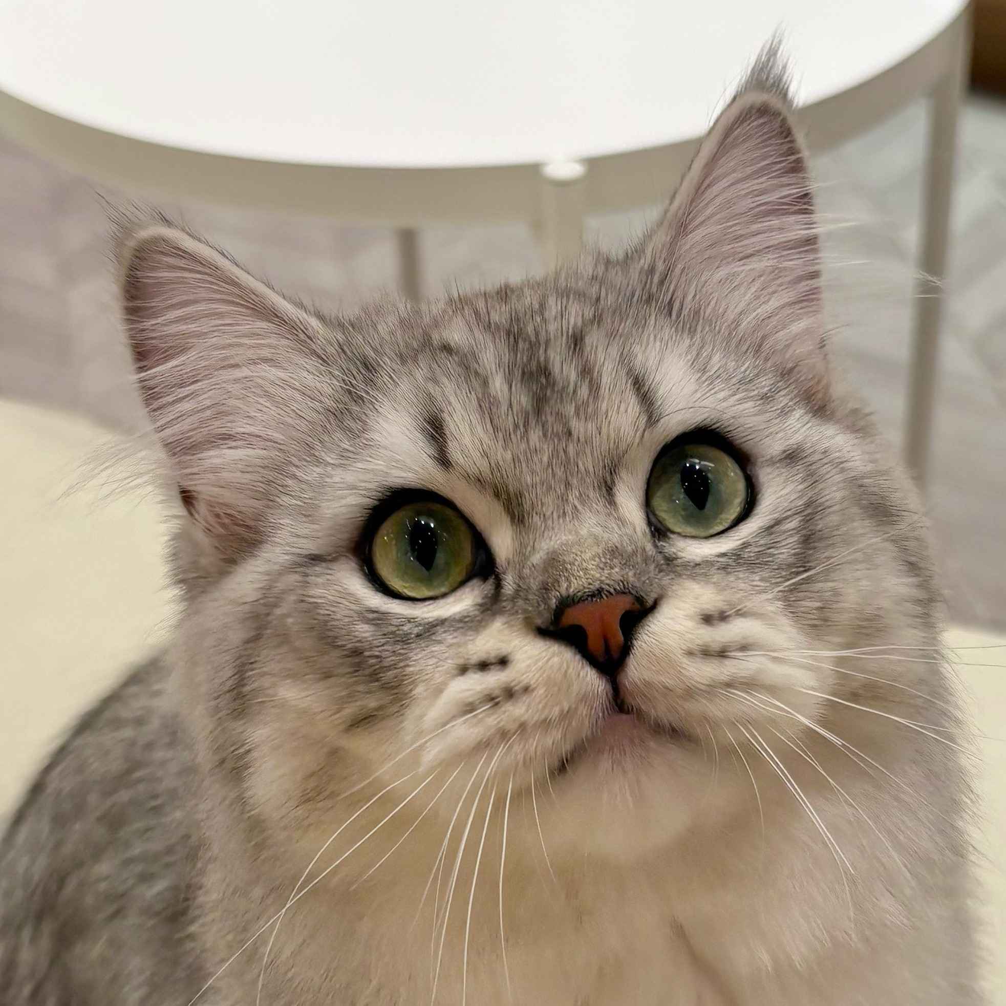 想